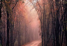 2025斯诺克最新排名：罗伯逊夺冠反超张安达，丁.