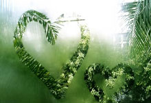 致敬传奇，弗格森在苏格兰比赛前手举丹尼斯-劳球衣.